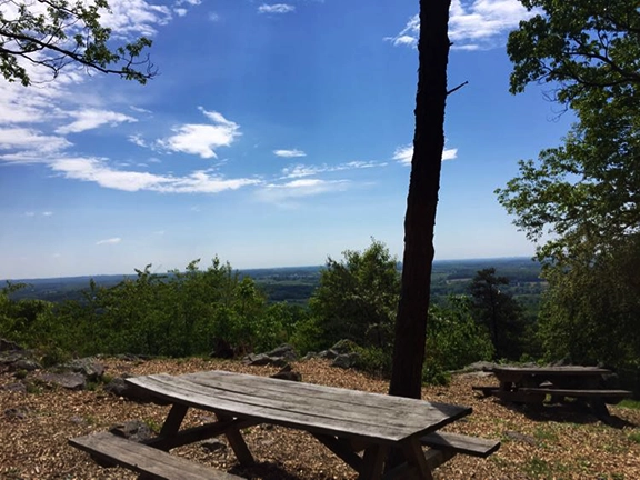 Picnic area Sugarloaf Mtn